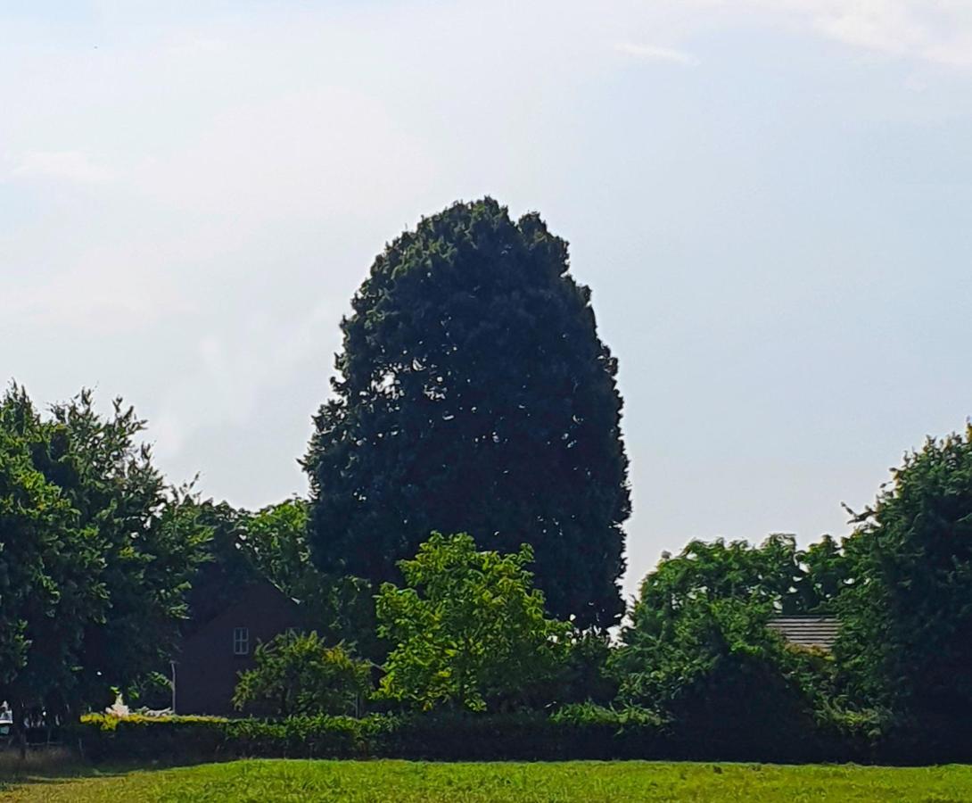 B&B De Nieuwenhof 'De Voorkamer' Melderslo 外观 照片