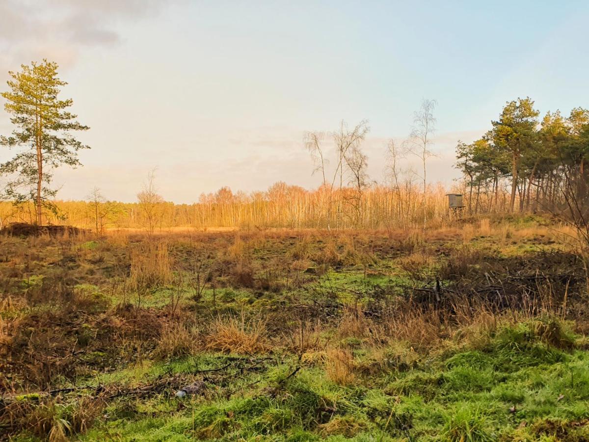 B&B De Nieuwenhof 'De Voorkamer' Melderslo 外观 照片