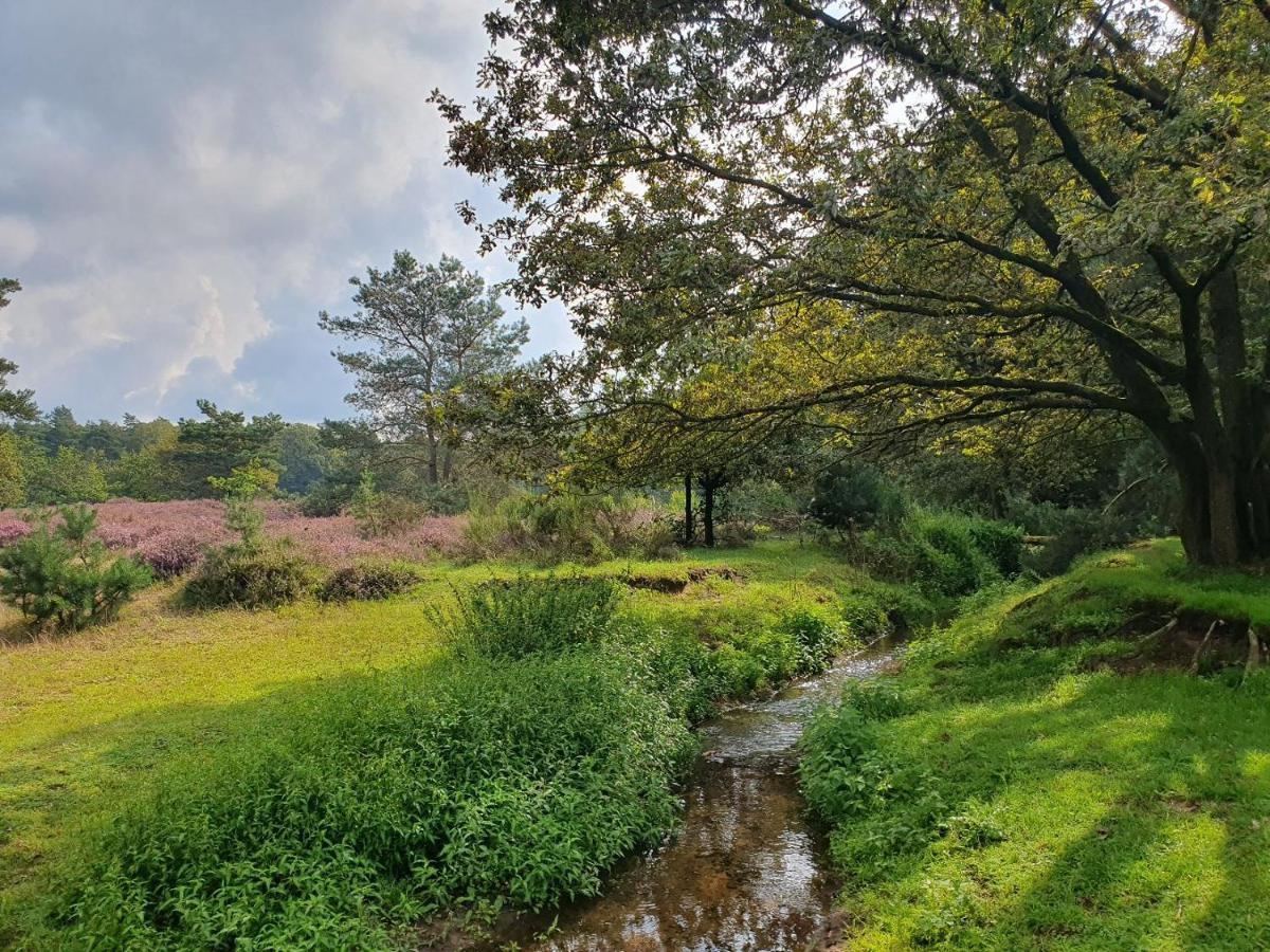 B&B De Nieuwenhof 'De Voorkamer' Melderslo 外观 照片
